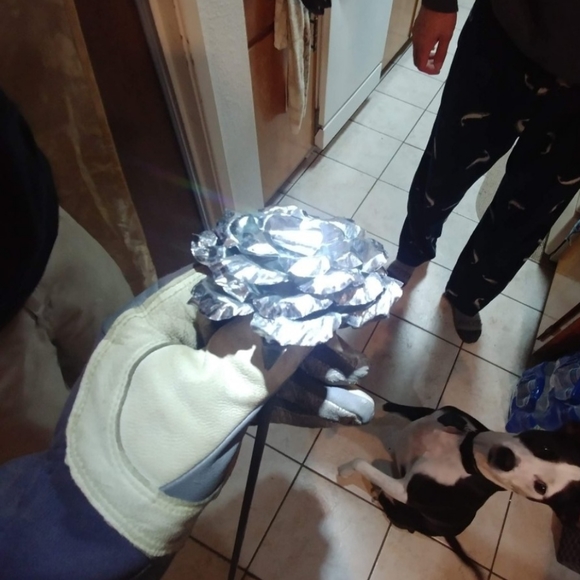 Meet your Posher, Israel - Picture 13 of 15